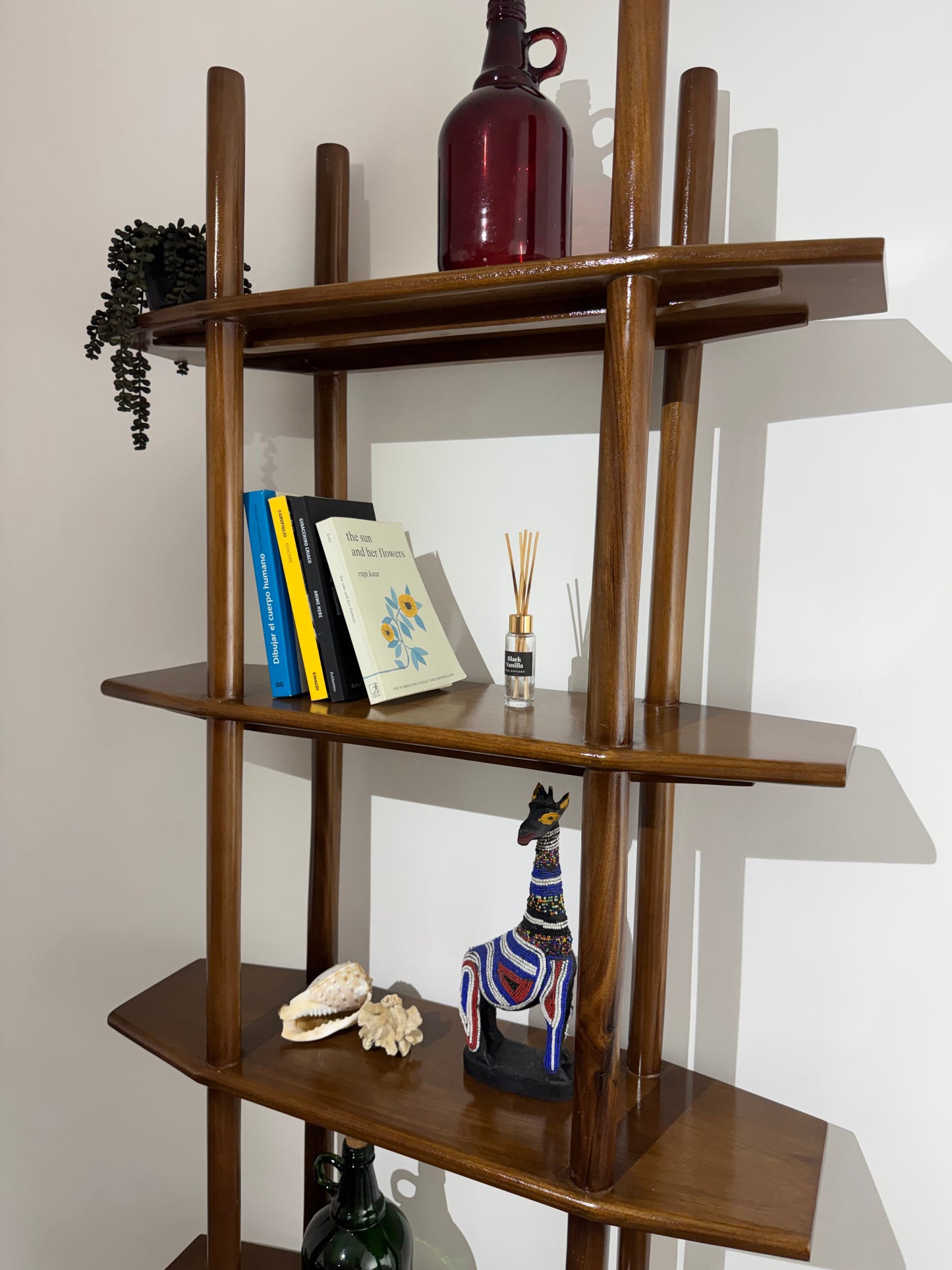 Savannah shelf